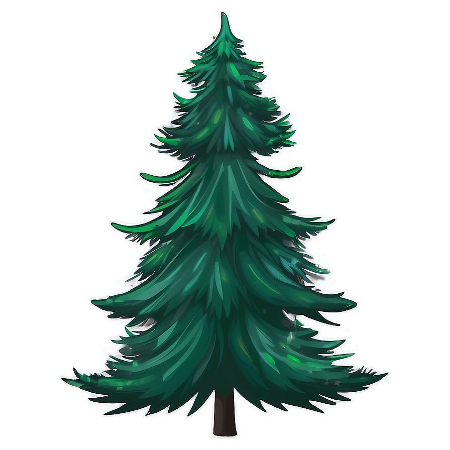 Evergreen Tree Illustration Png 06212024