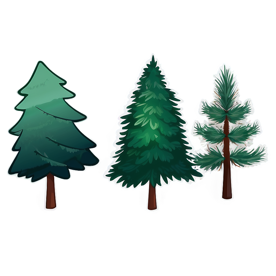 Evergreen Tree Illustration Png 33