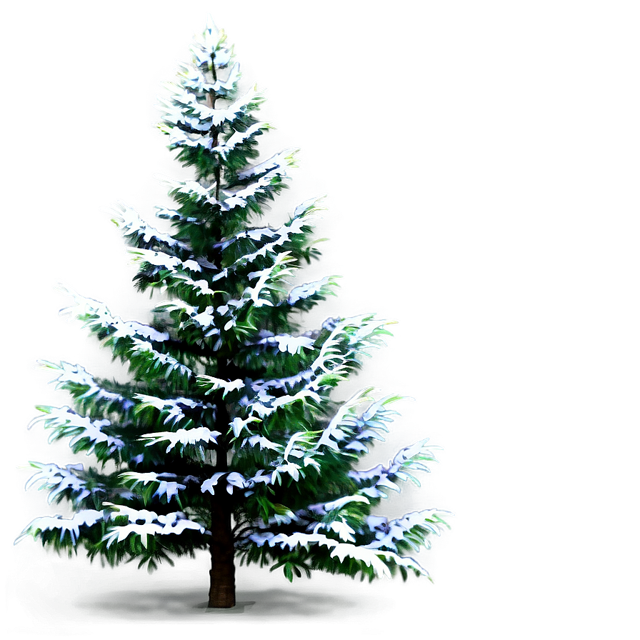 Evergreen Tree In Nature Png 21