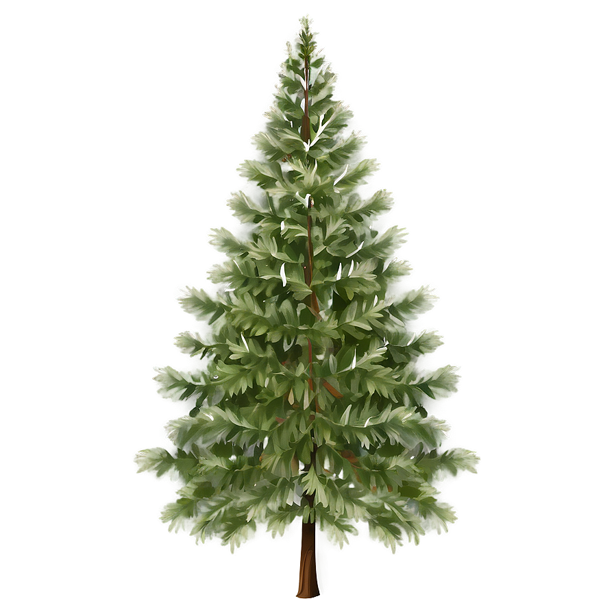 Evergreen Tree In Nature Png Yhx