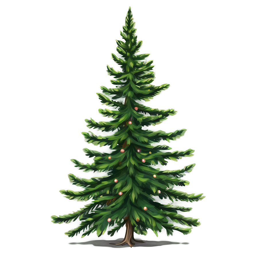 Evergreen Tree Outline Png 06212024