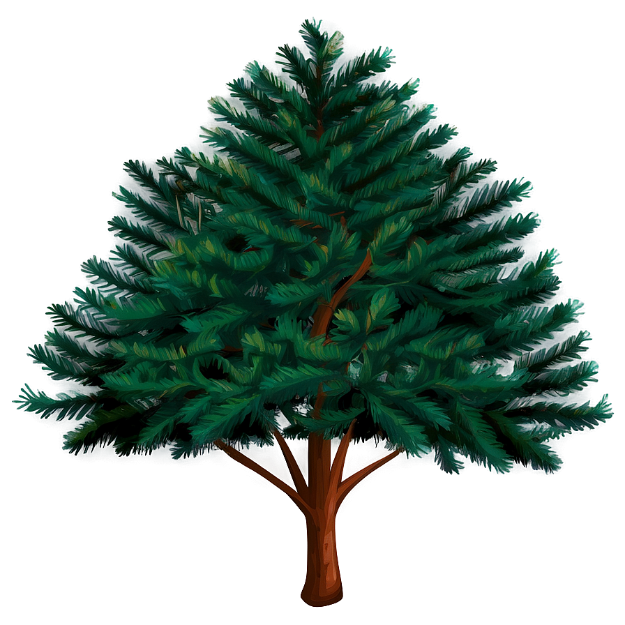 Evergreen Tree Pattern Png 85