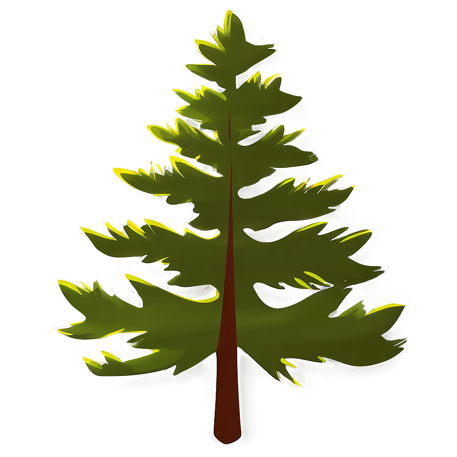 Evergreen Tree Shadow Png Hhj40