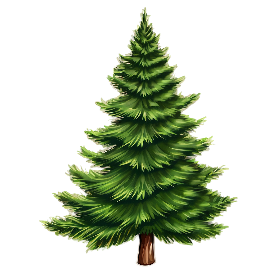 Evergreen Tree Sketch Png 06122024