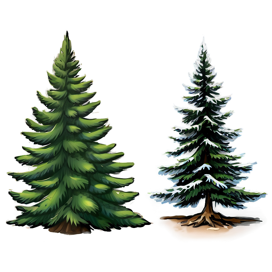 Evergreen Tree Sketch Png Bwx97