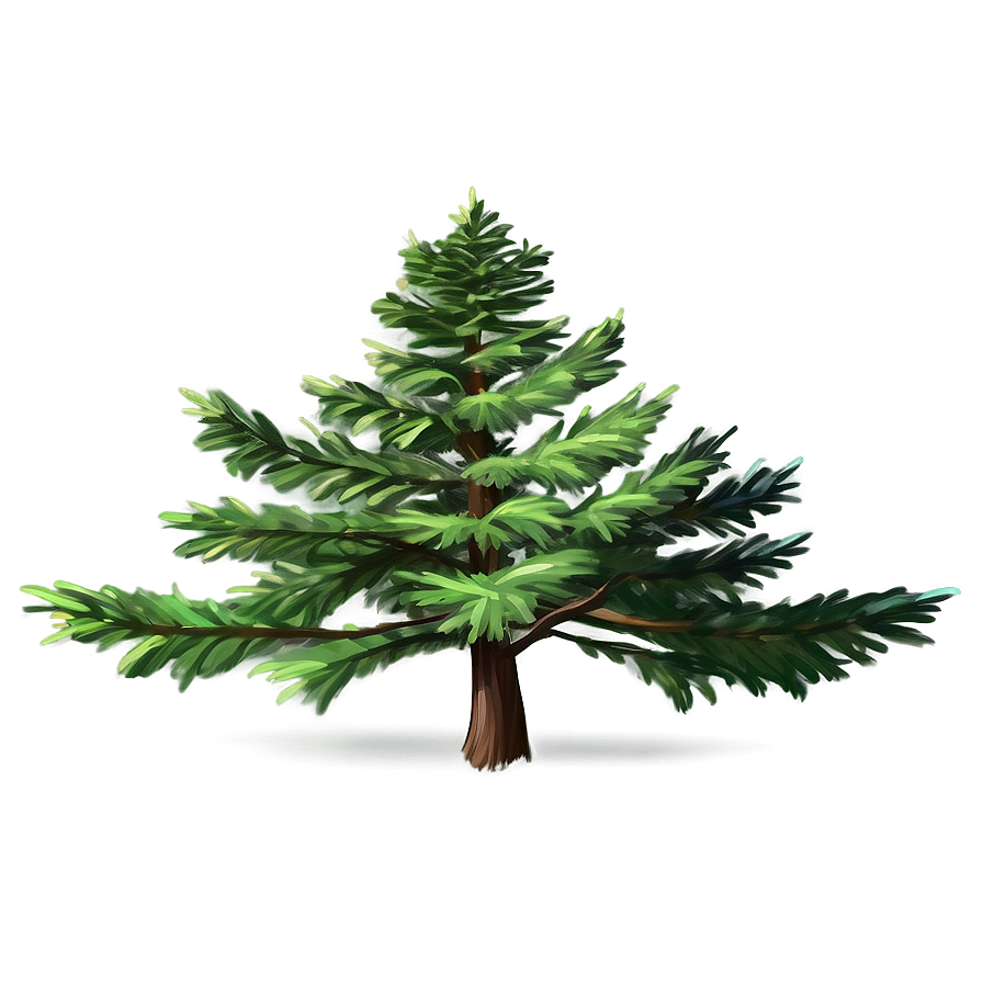 Evergreen Tree Sketch Png Uvh20