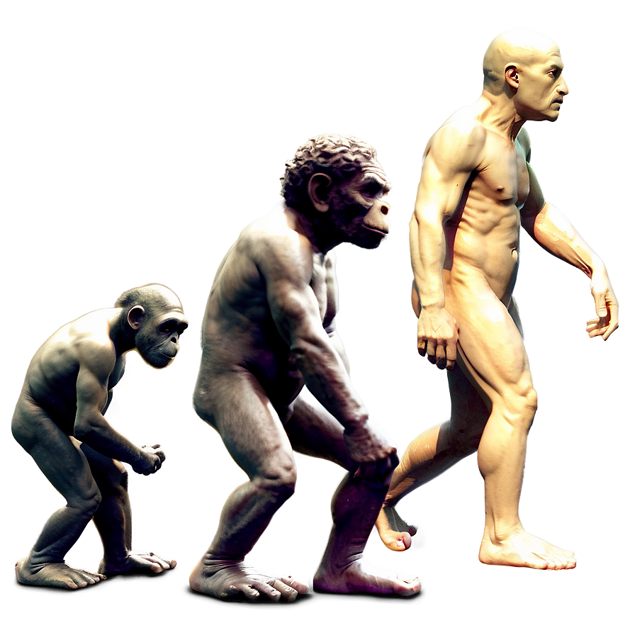 Evolution Of Art Png 06242024