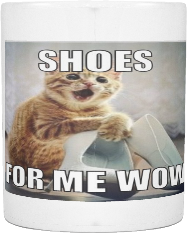 Excited Cat With Shoes Meme