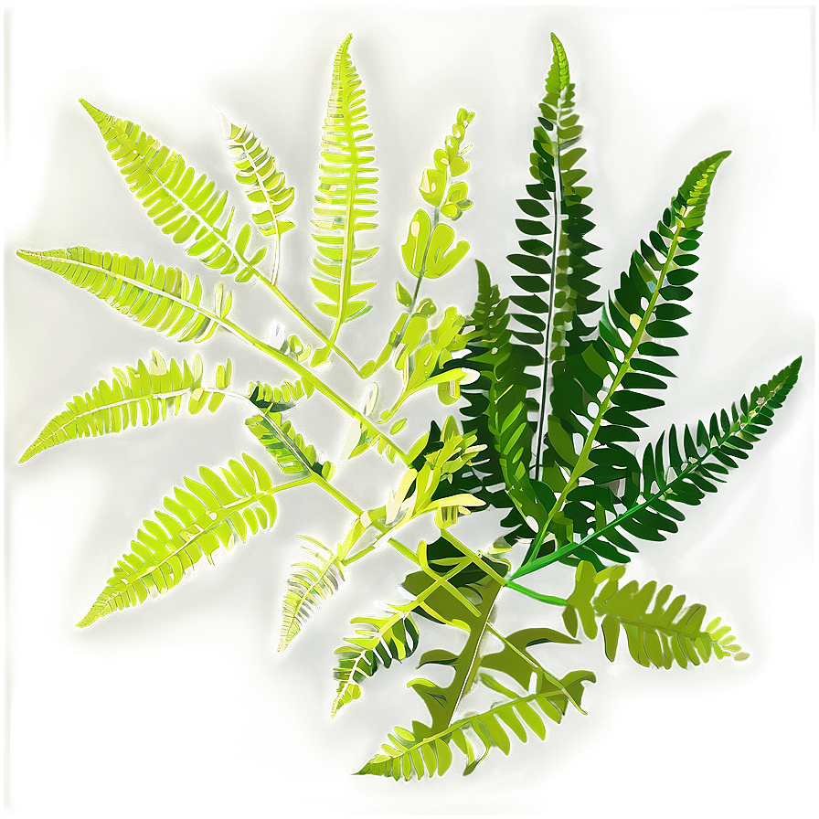 Exotic Fern Leaf Pattern Png Yfj