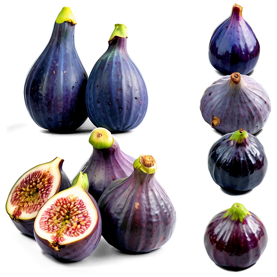 Exotic Figs Display Png Dwr16