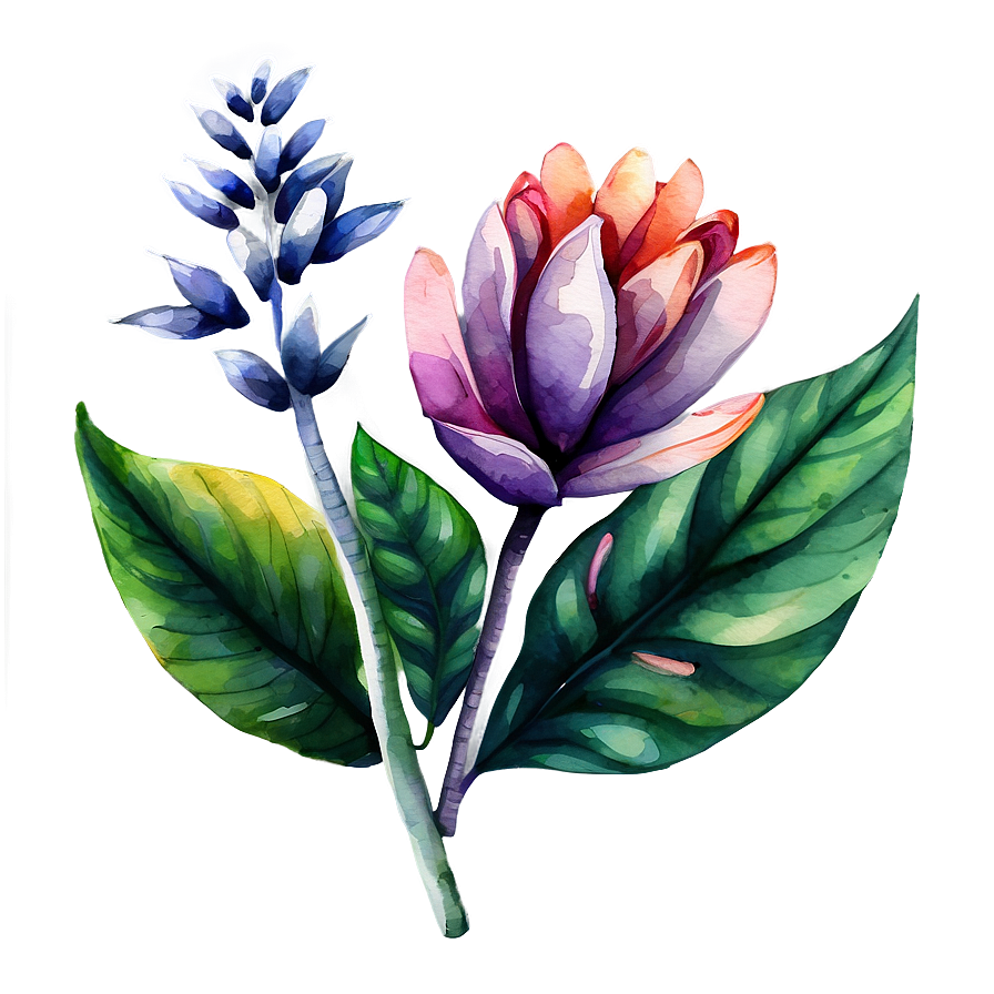 Exotic Flower Watercolor Png 06272024