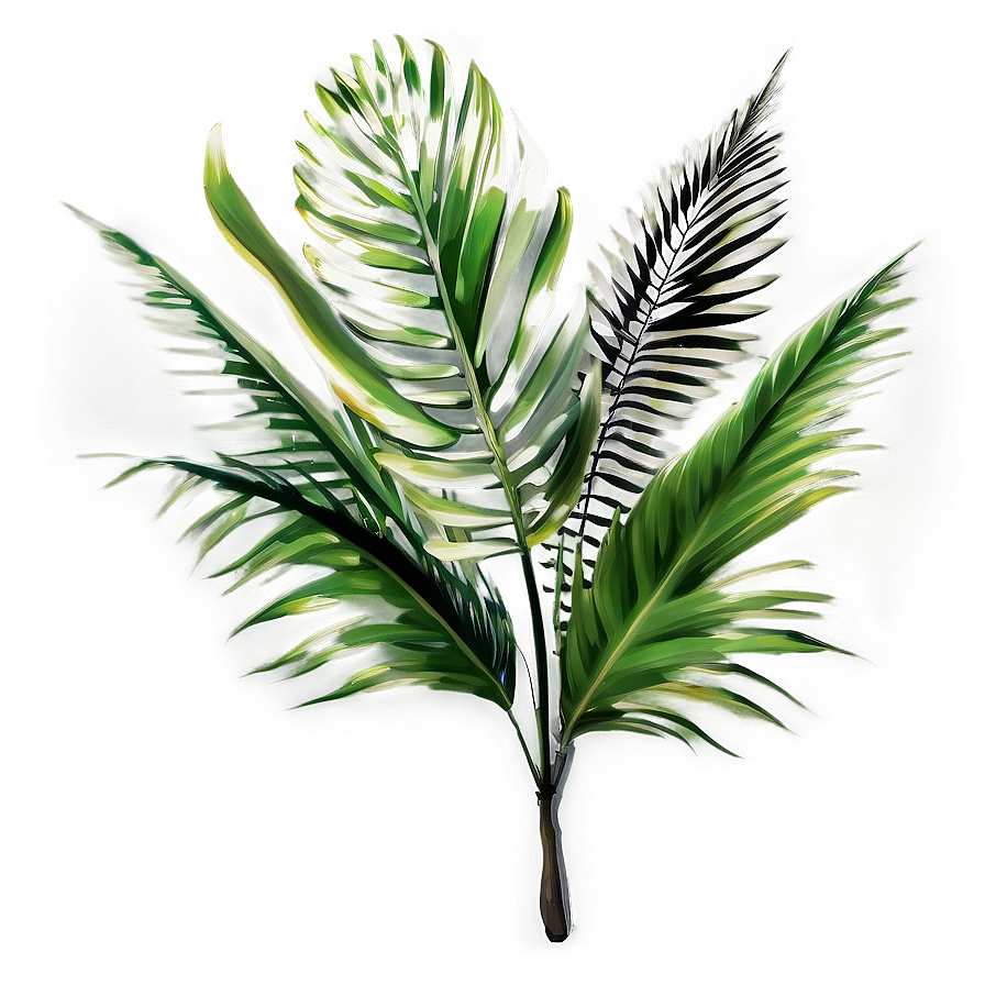 Exotic Palm Leaves Png 28