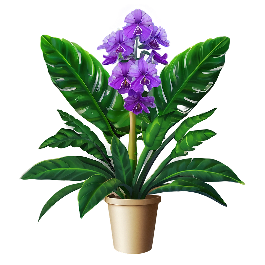 Exotic Plant Png 05032024