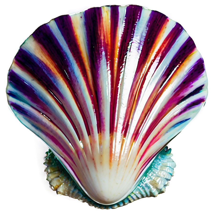 Exotic Shell From Distant Shore Png 35