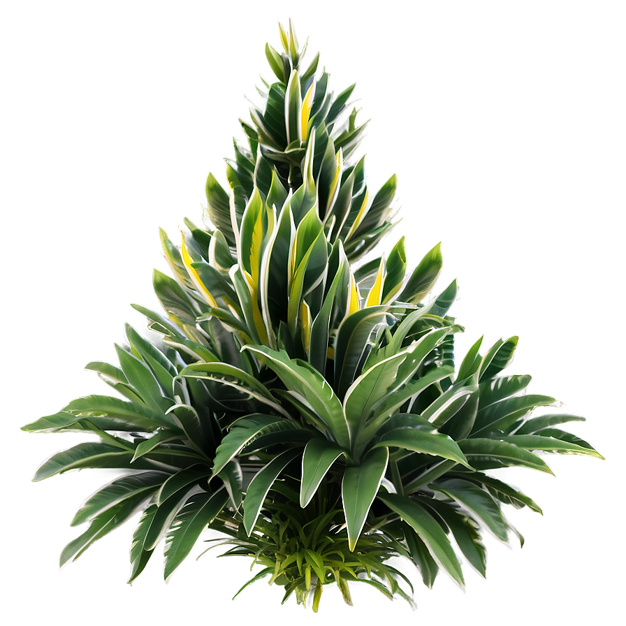 Exotic Shrub Png 05252024