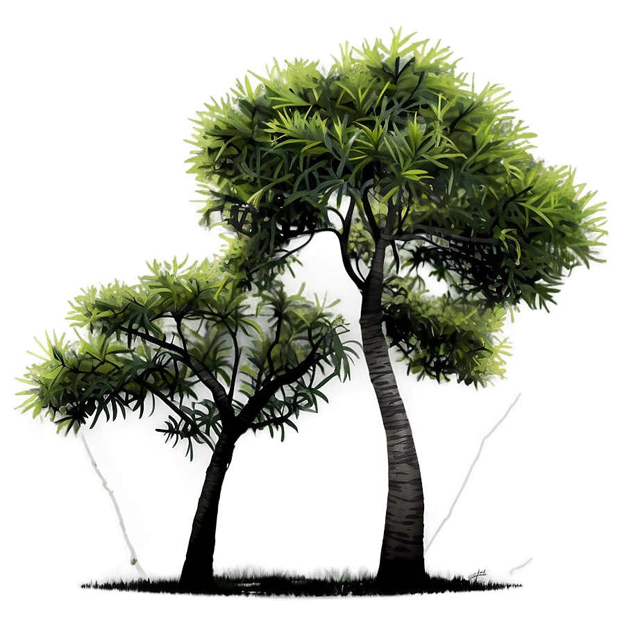 Exotic Tree Elevation Png Lhk