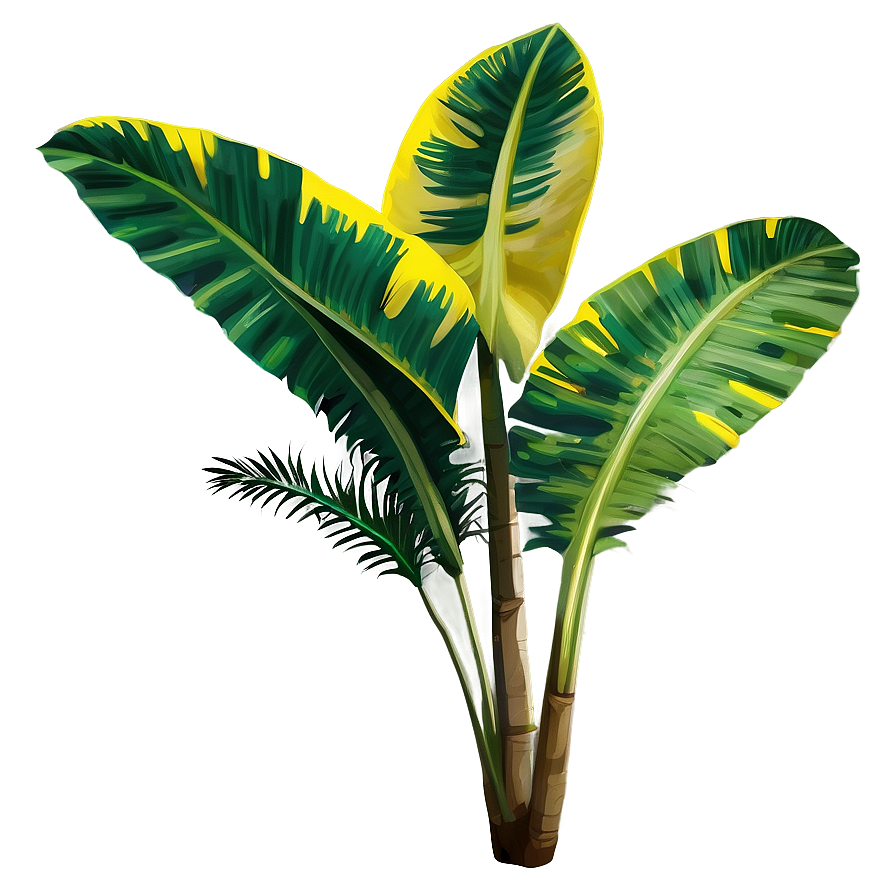 Exotic Tropical Plant Png Chh35