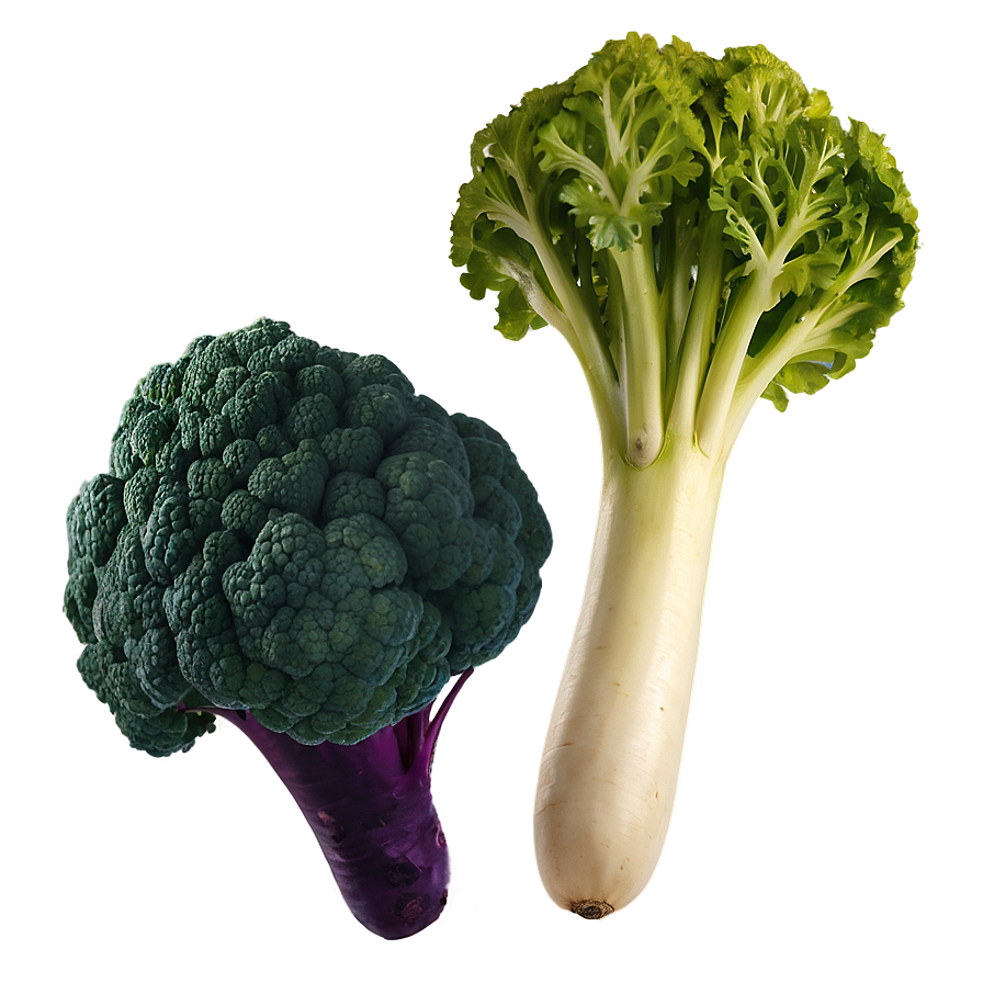 Exotic Vegetables Png Xan88