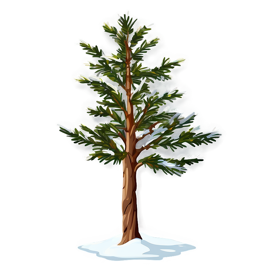 Expansive Spruce Tree Png Hct