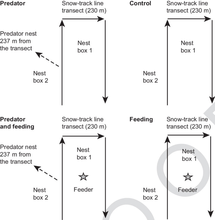 Experimental Design Predator Control Feeding