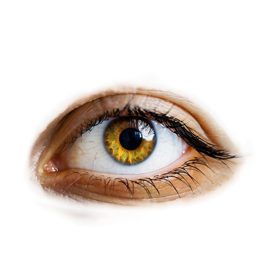 Eye Contact Lens Transparent Png Pob62