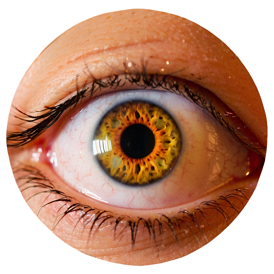 Eye Detail Transparent Png Rmn80