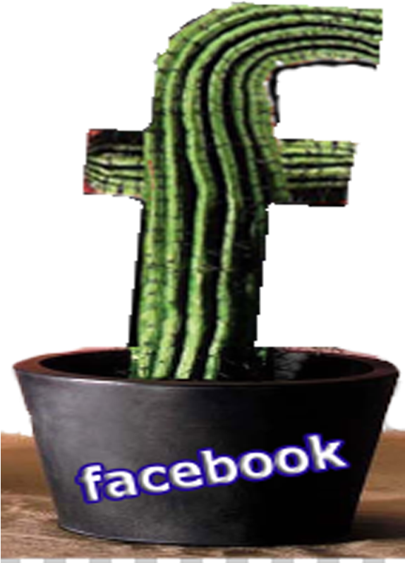 Facebook Cactus Pot Concept