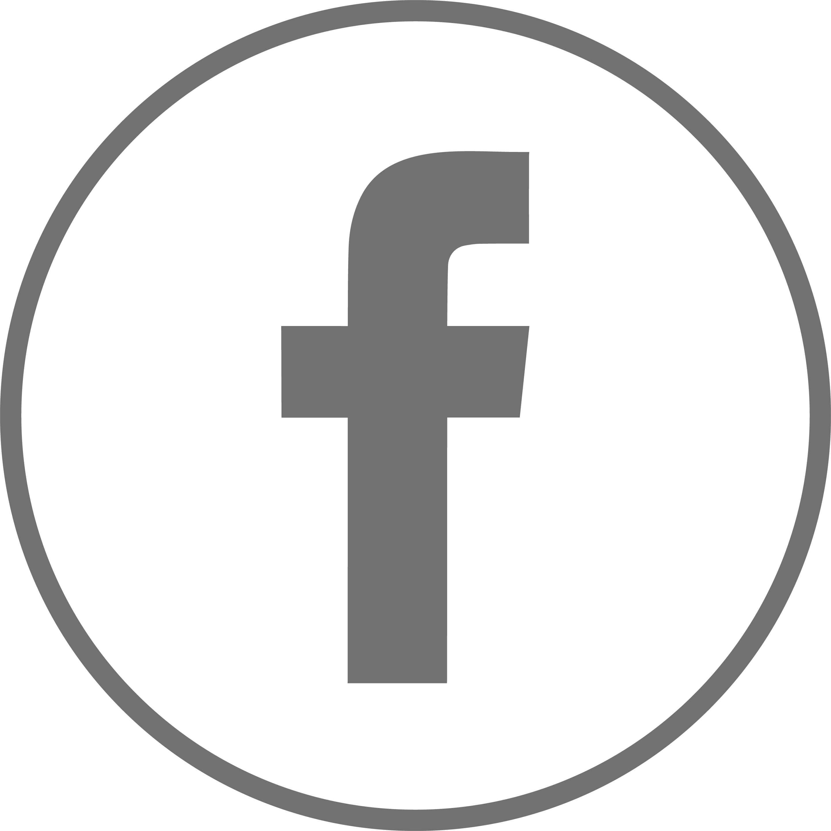 Facebook Logo Icon