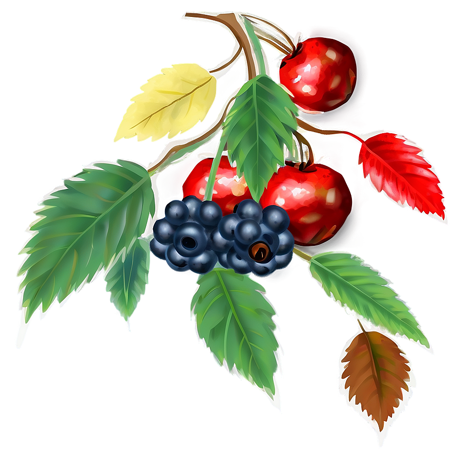 Fall Berries Png Iws