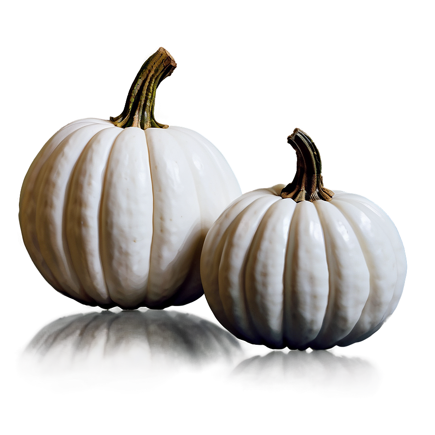 Fall Decor White Pumpkin Png Exd