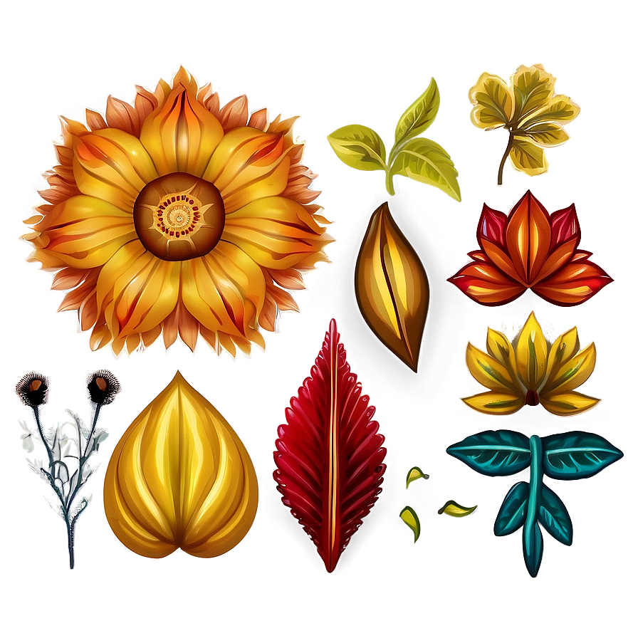 Fall Flower Harmony Png 06272024