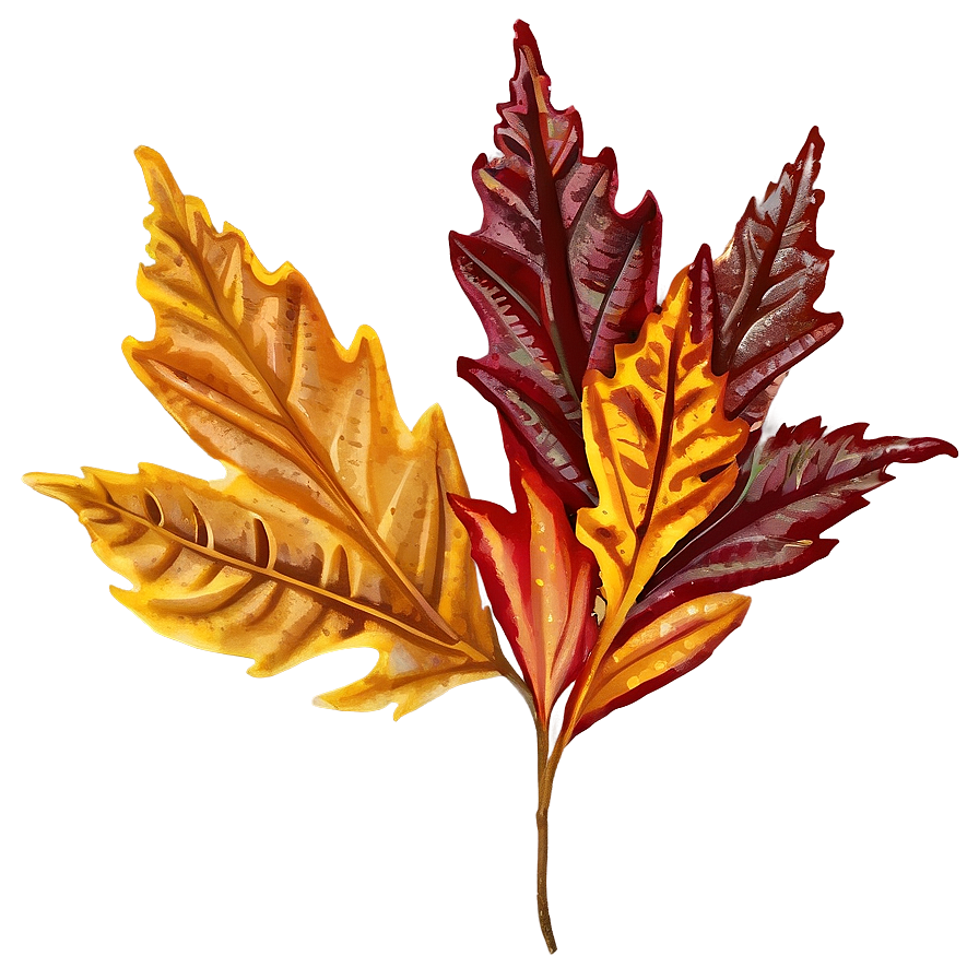 Fall Leaf Clipart Png 05252024