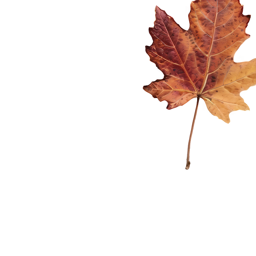 Fall Leaf Under Foot Png Eat76