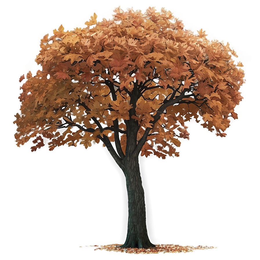 Fall Oak Trees Aesthetic Png Fkn62