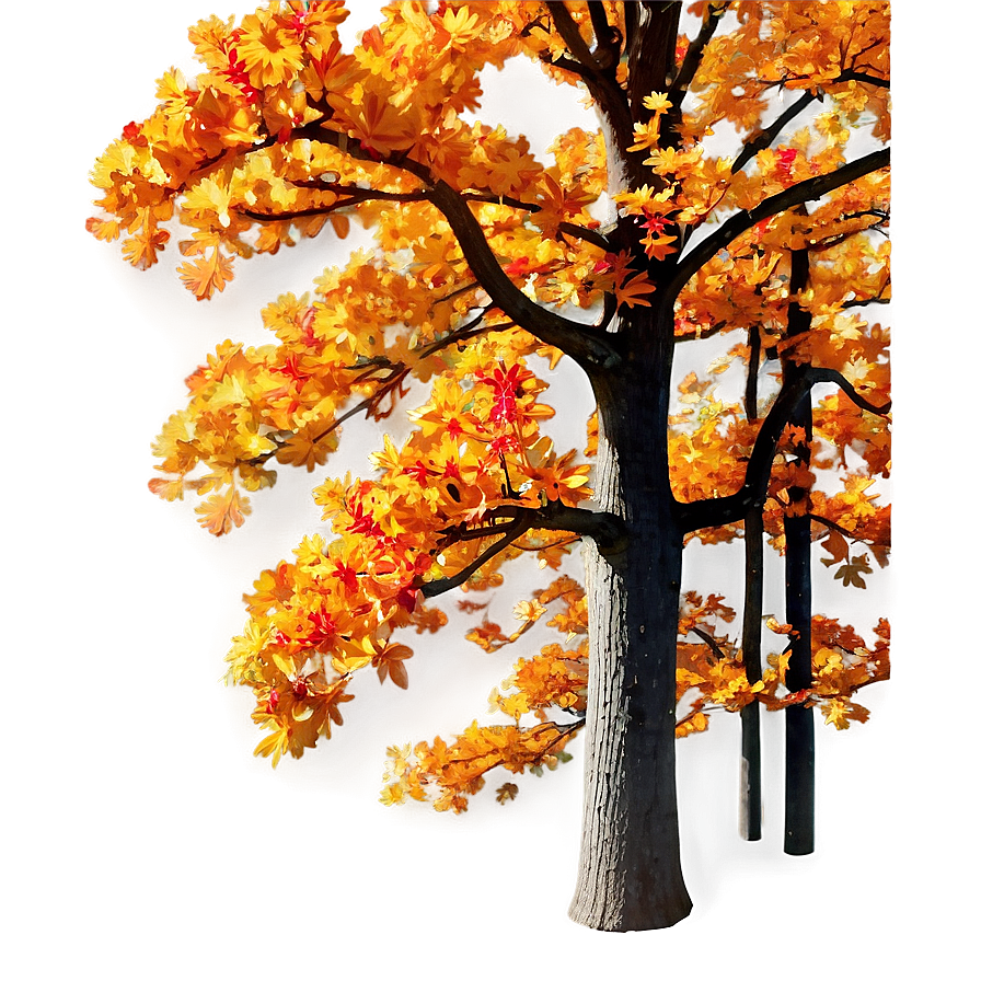 Fall Oak Trees Aesthetic Png Uat60