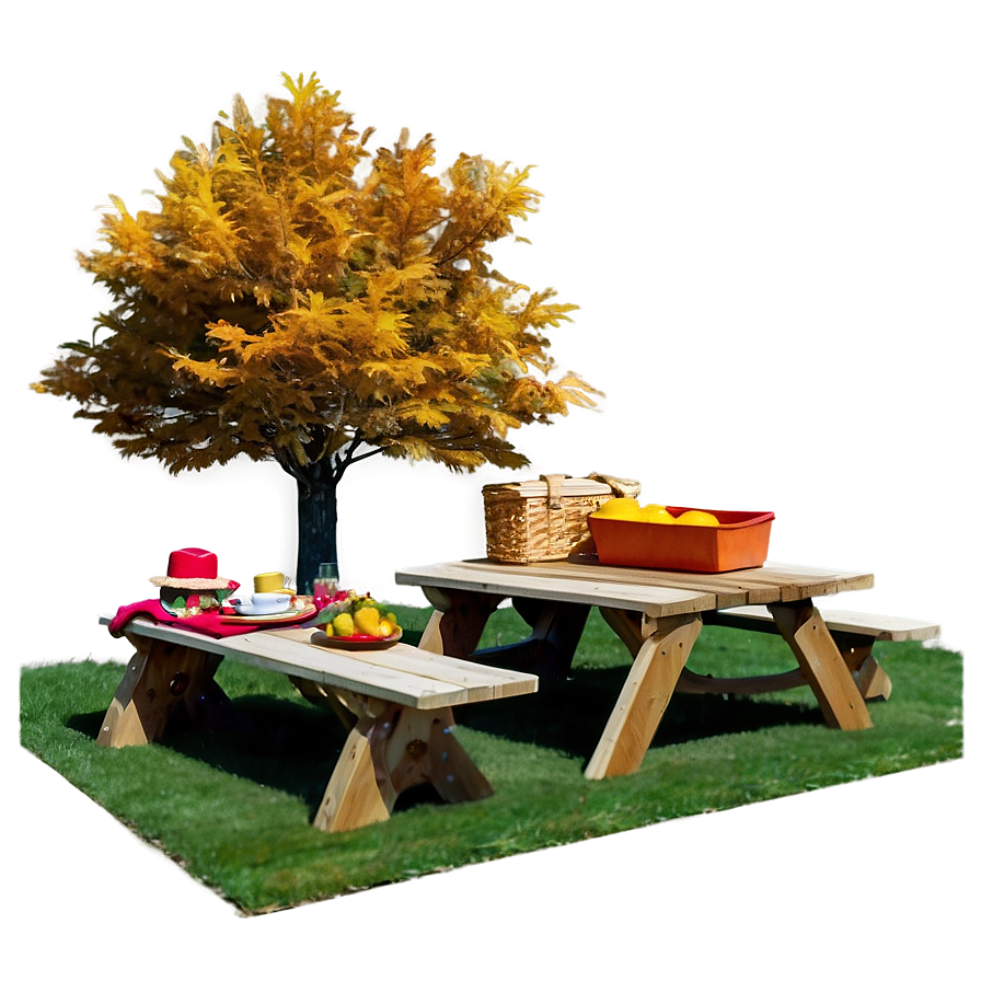 Fall Trees And Picnic Png 92