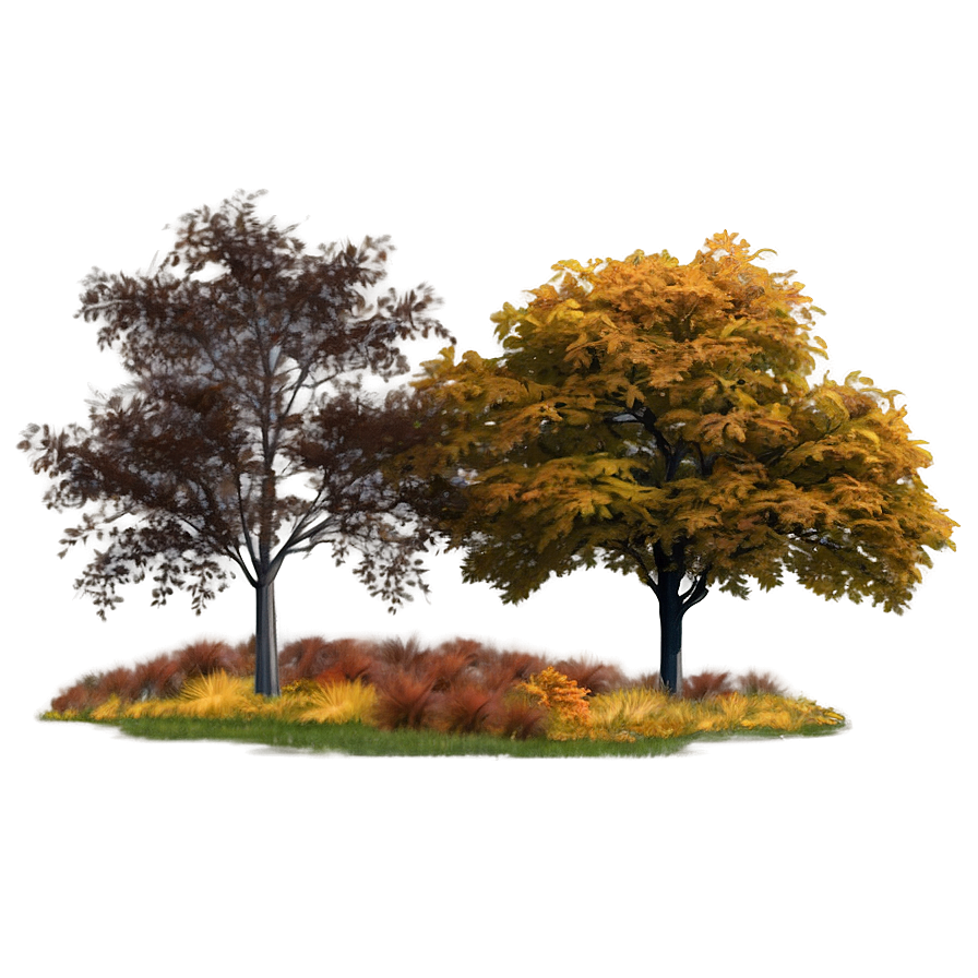 Fall Trees With Fog Png Qik41