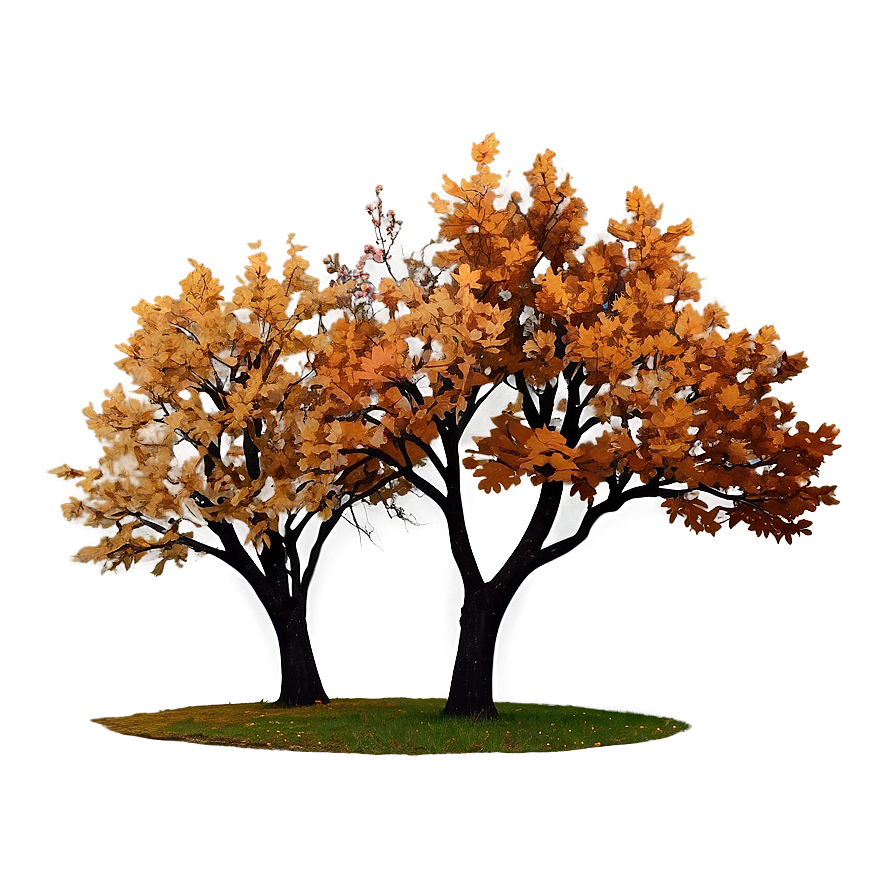 Fall Trees With Starry Sky Png 5