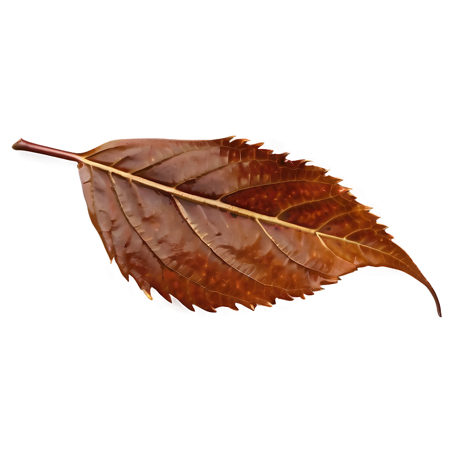 Fallen Leaves On Wooden Surface Png Pln30