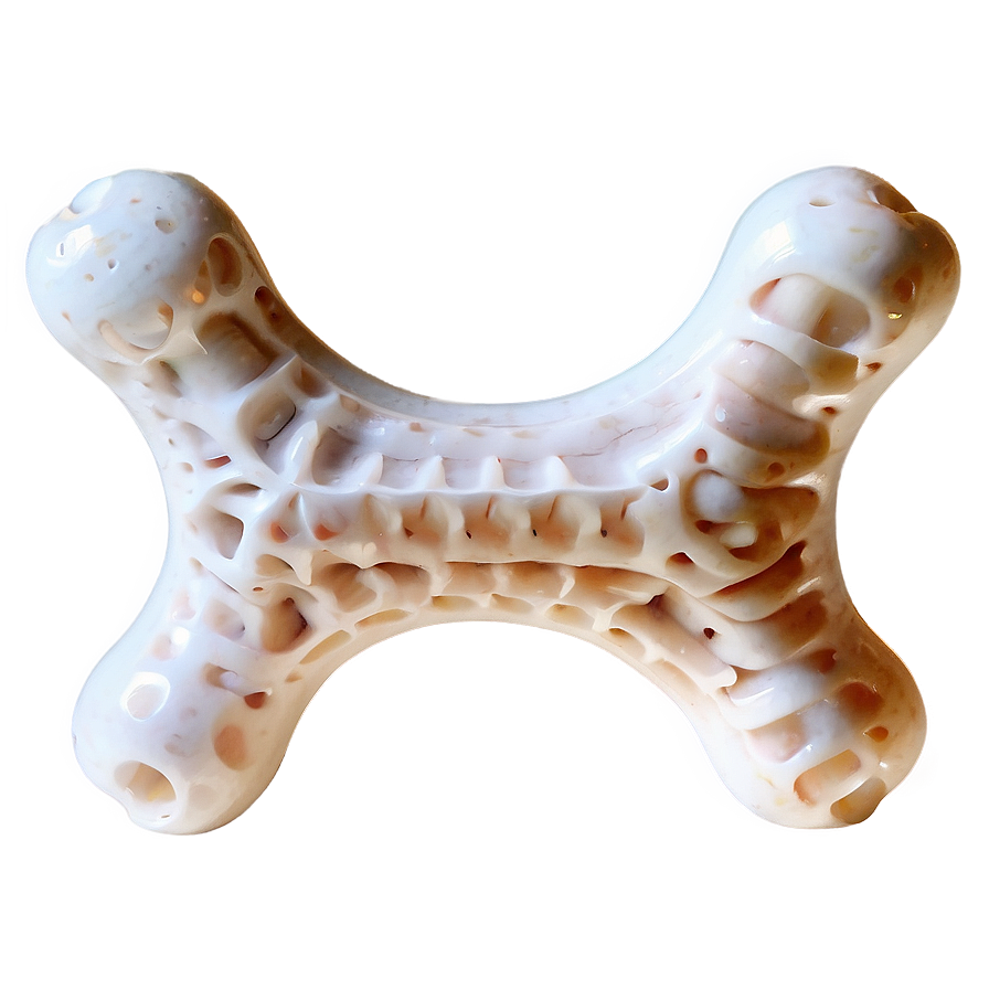 Fancy Dog Bone Png Uab