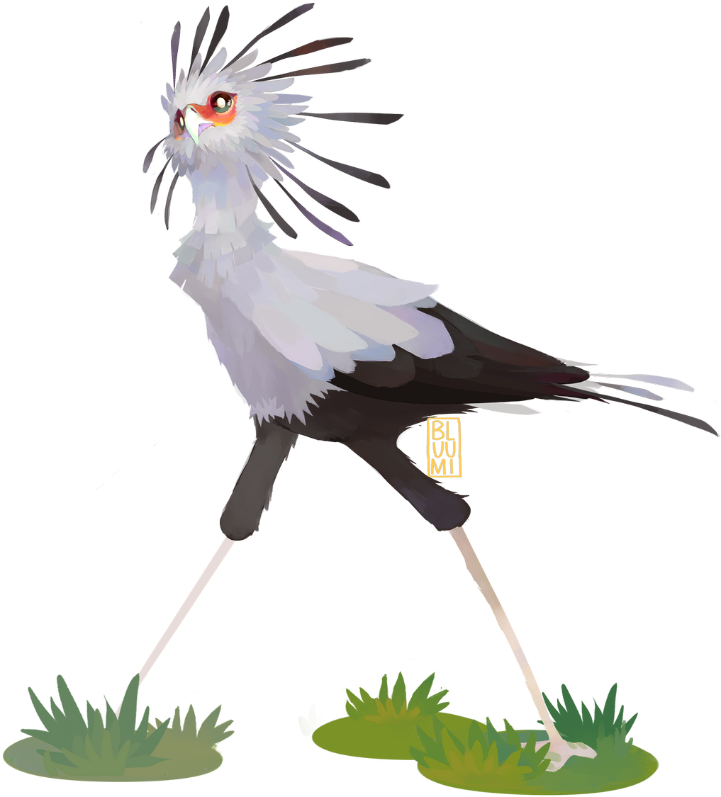 Fantastical Secretary Bird Illustration