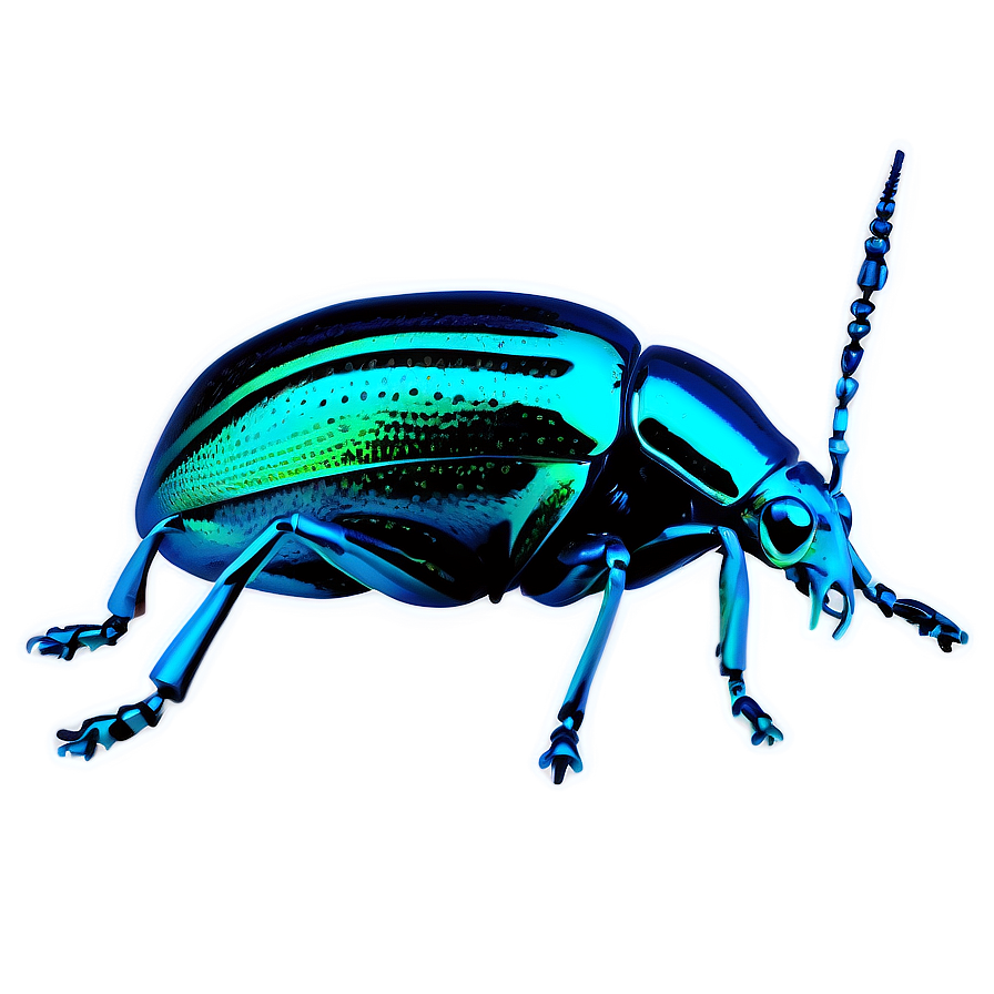 Fantastical Weevil World Png Uvd