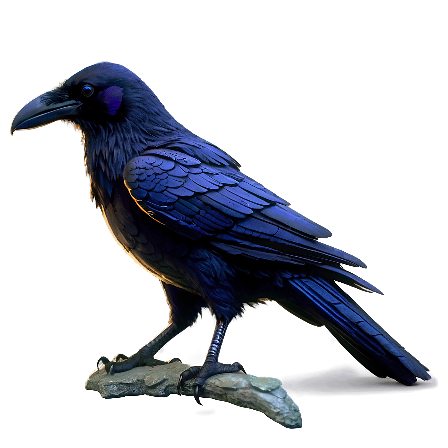 Fantasy Raven Png Pil65