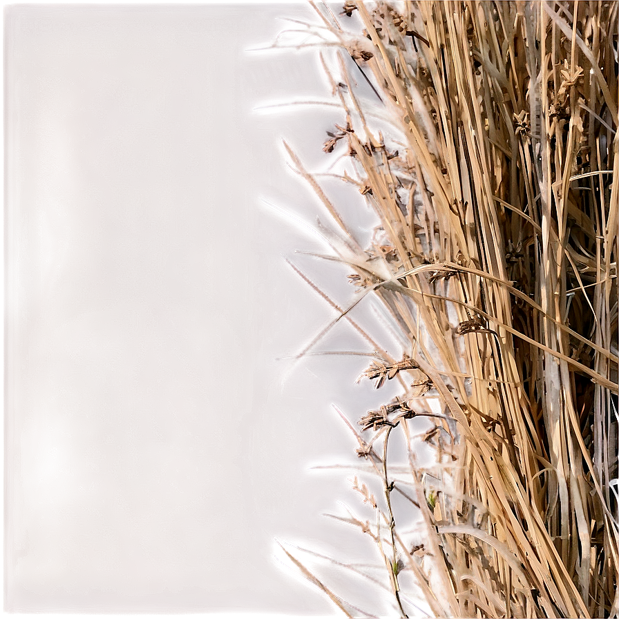 Farm Dry Grass Png Kov50