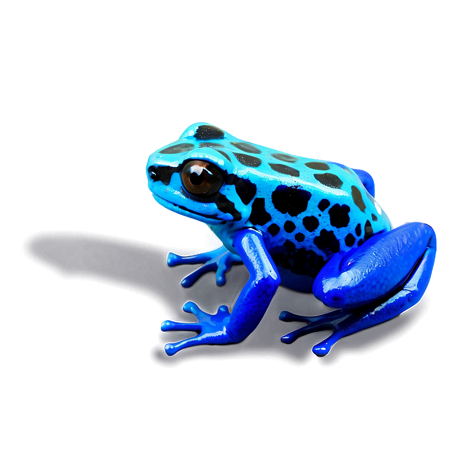 Fascinating Poison Dart Frog Png Egj50