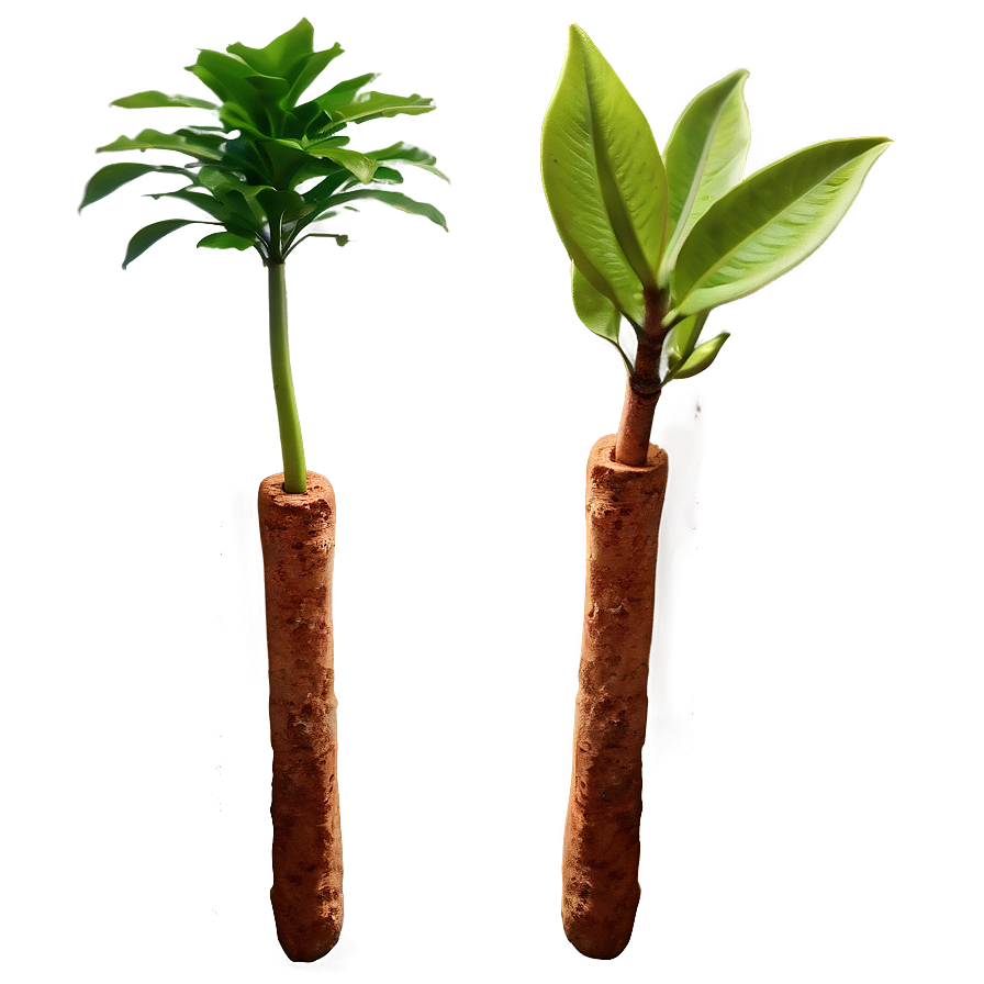 Fast Growing Plants Png 22