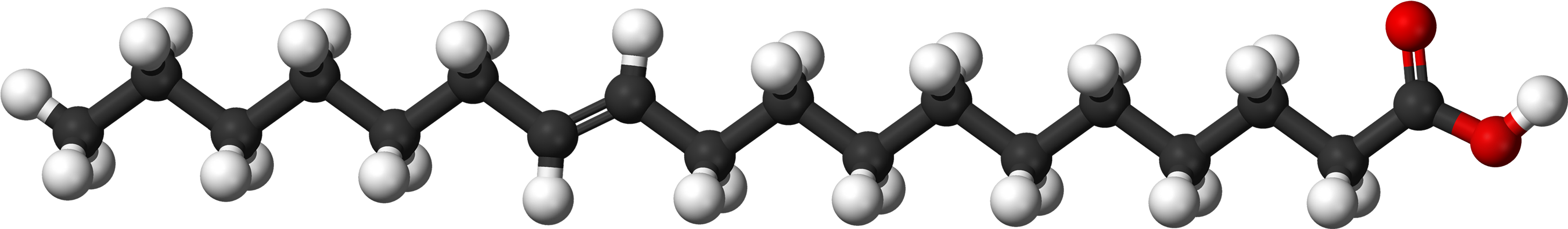 Fatty Acid Molecule Structure