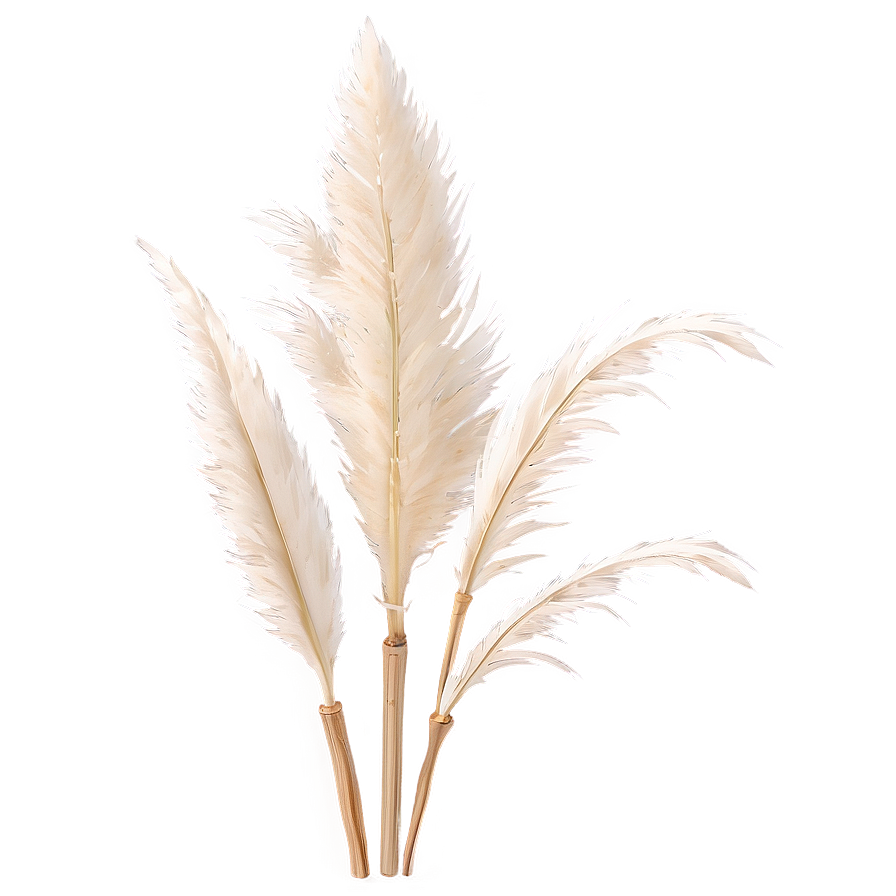 Faux Pampas Grass Png 47