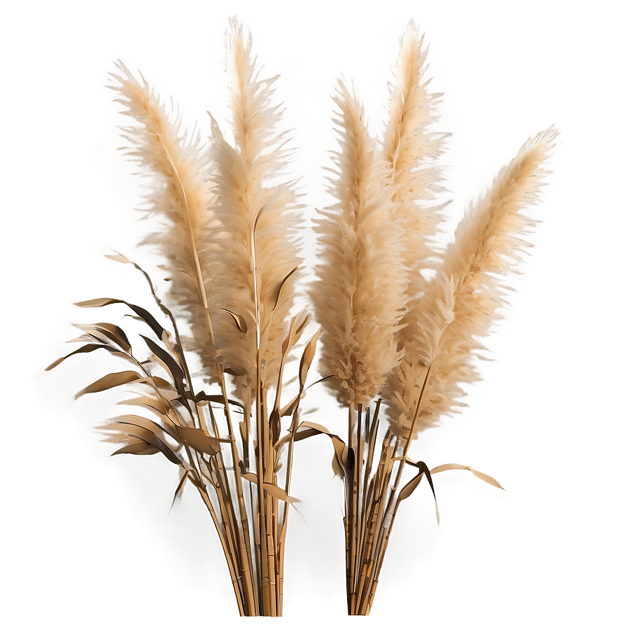 Faux Pampas Grass Png Sfj