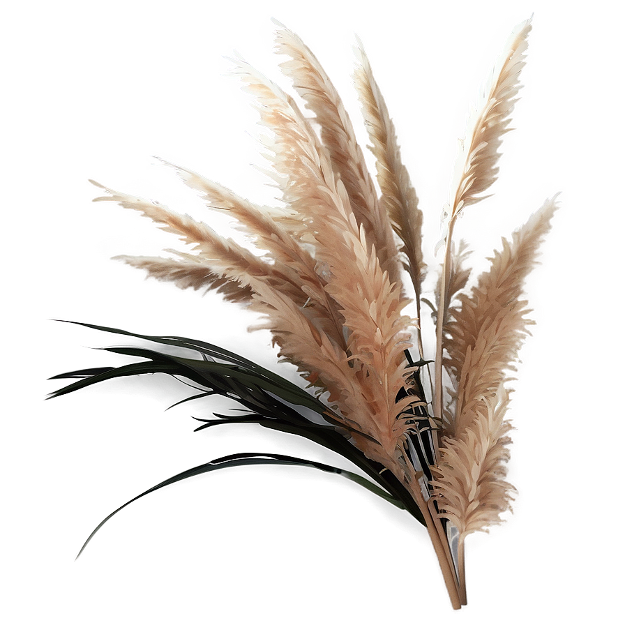 Faux Pampas Grass Png Tay